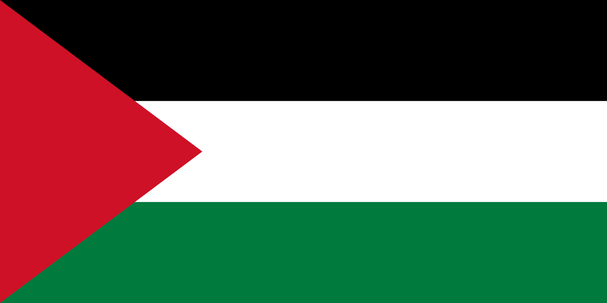 علم دولة فلسطين علم دولة فلسطين